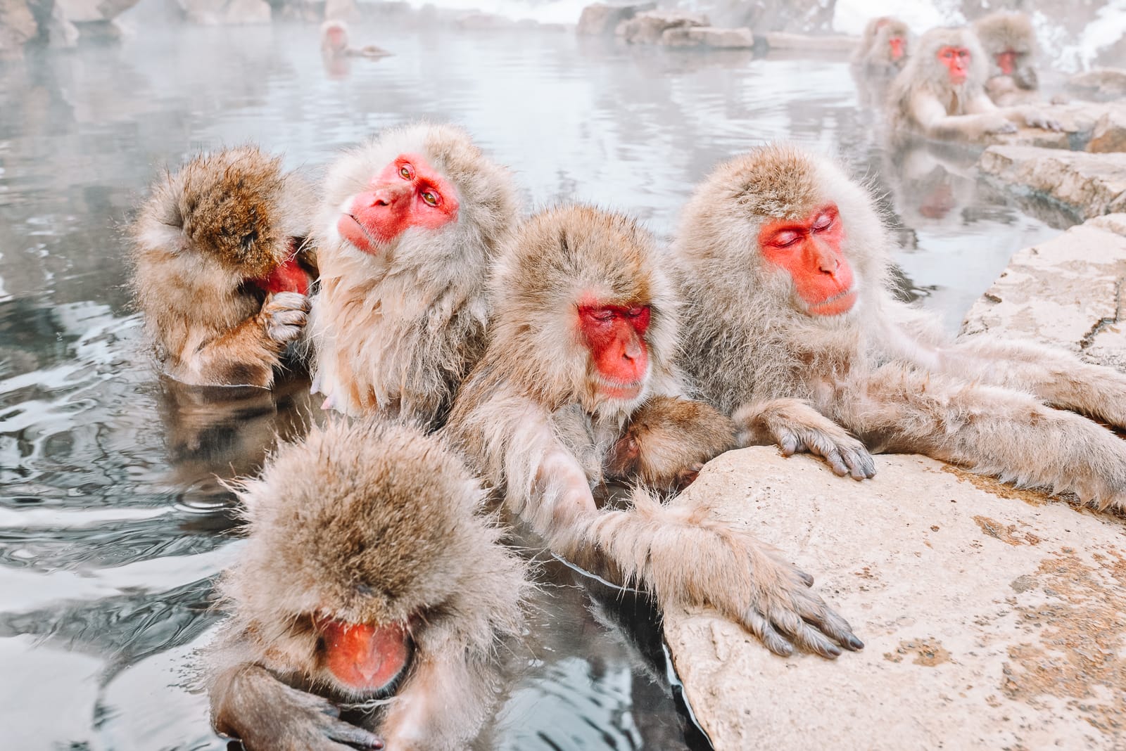 Cool Weird Things To Do In Japan