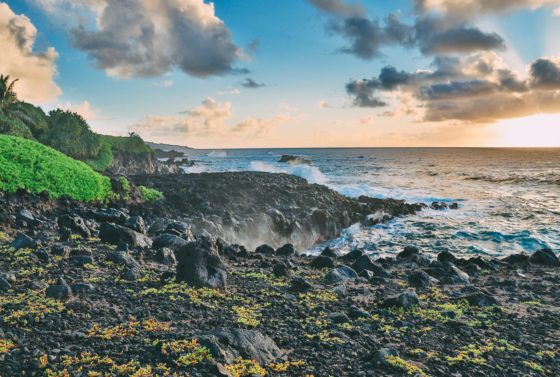 13 Best Beaches In Maui, Hawaii 