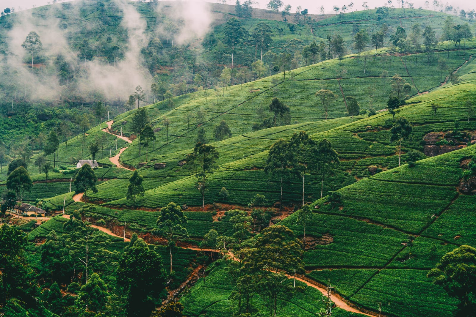 Places To Visit In Sri Lanka - Infoupdate.org