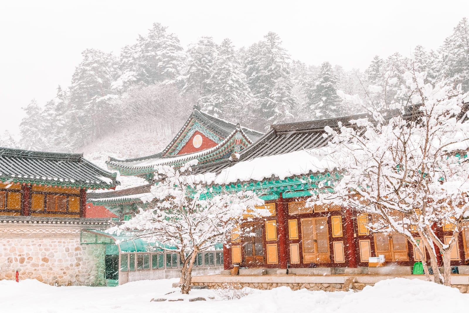 10 Best Places To Visit In South Korea (6)