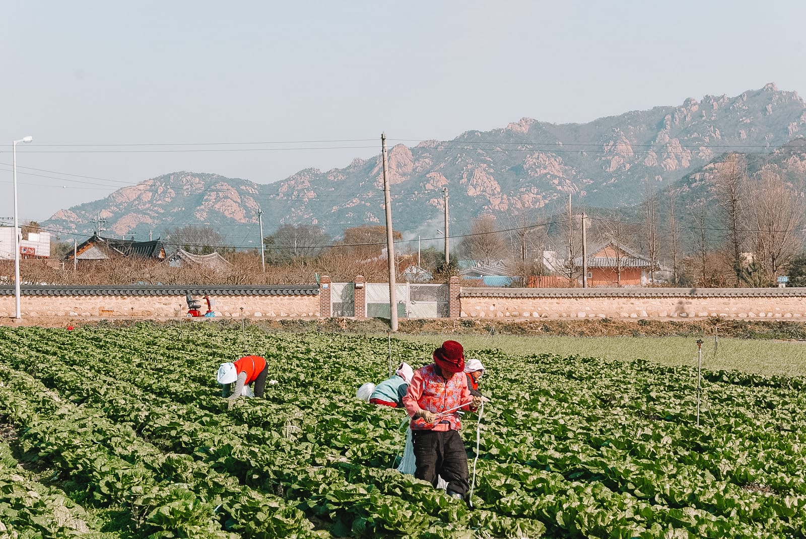 10 Best Places To Visit In South Korea (9)