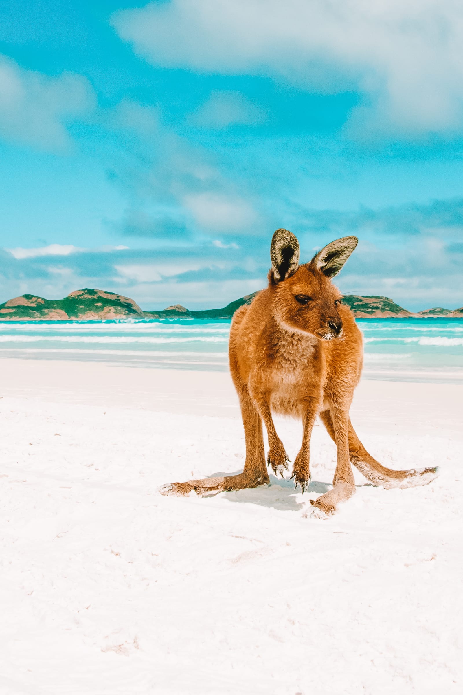 15 Best Beaches In Australia (14)