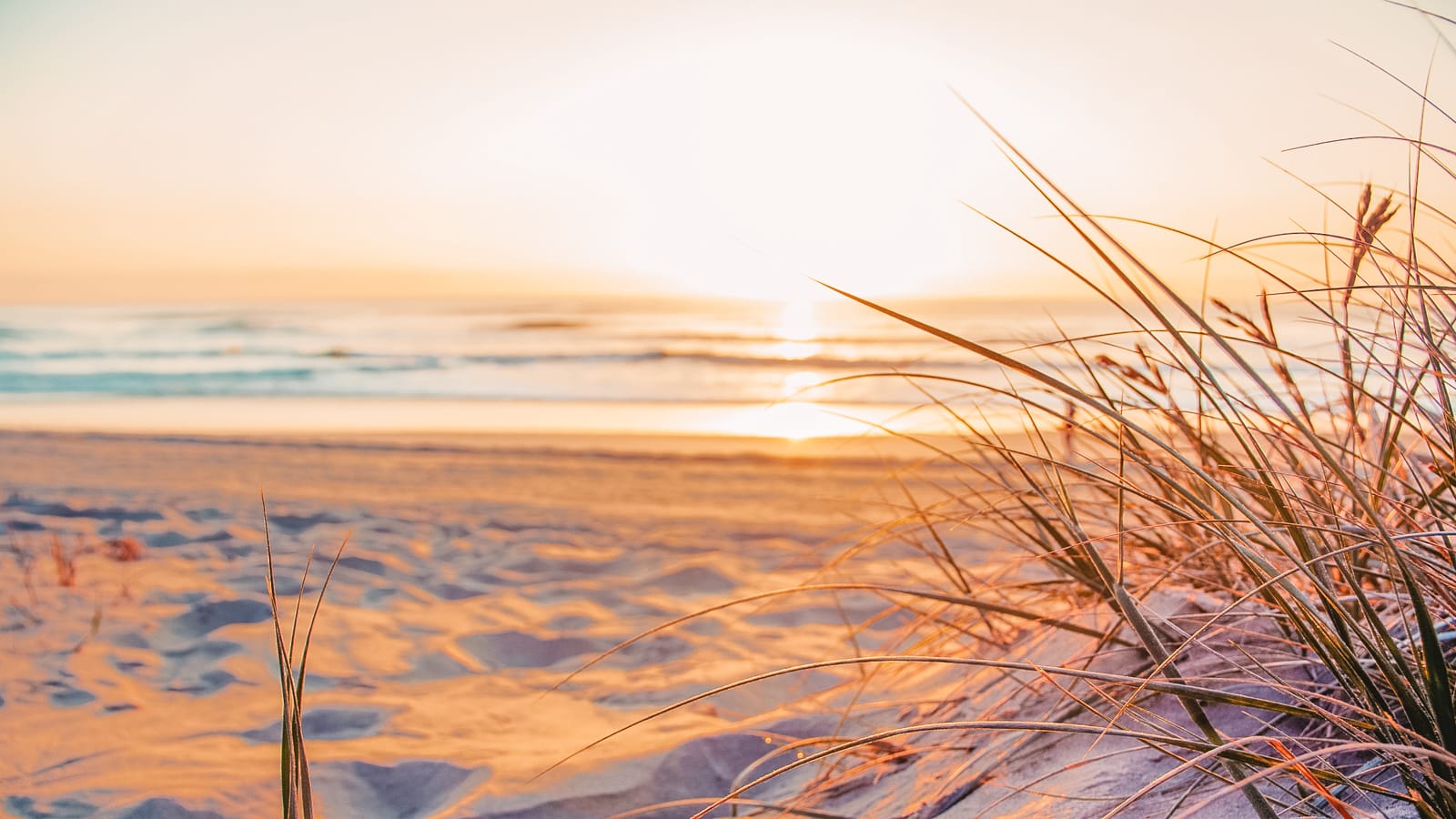 15 mejores playas de Malibú, California, Estados Unidos (3)