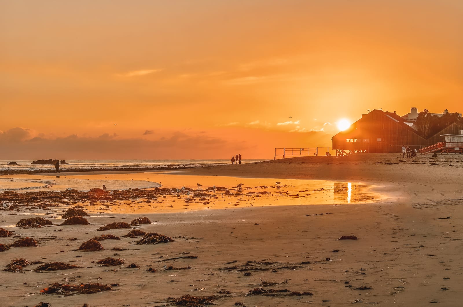 15 bästa stränderna i Malibu, Kalifornien, USA (10)