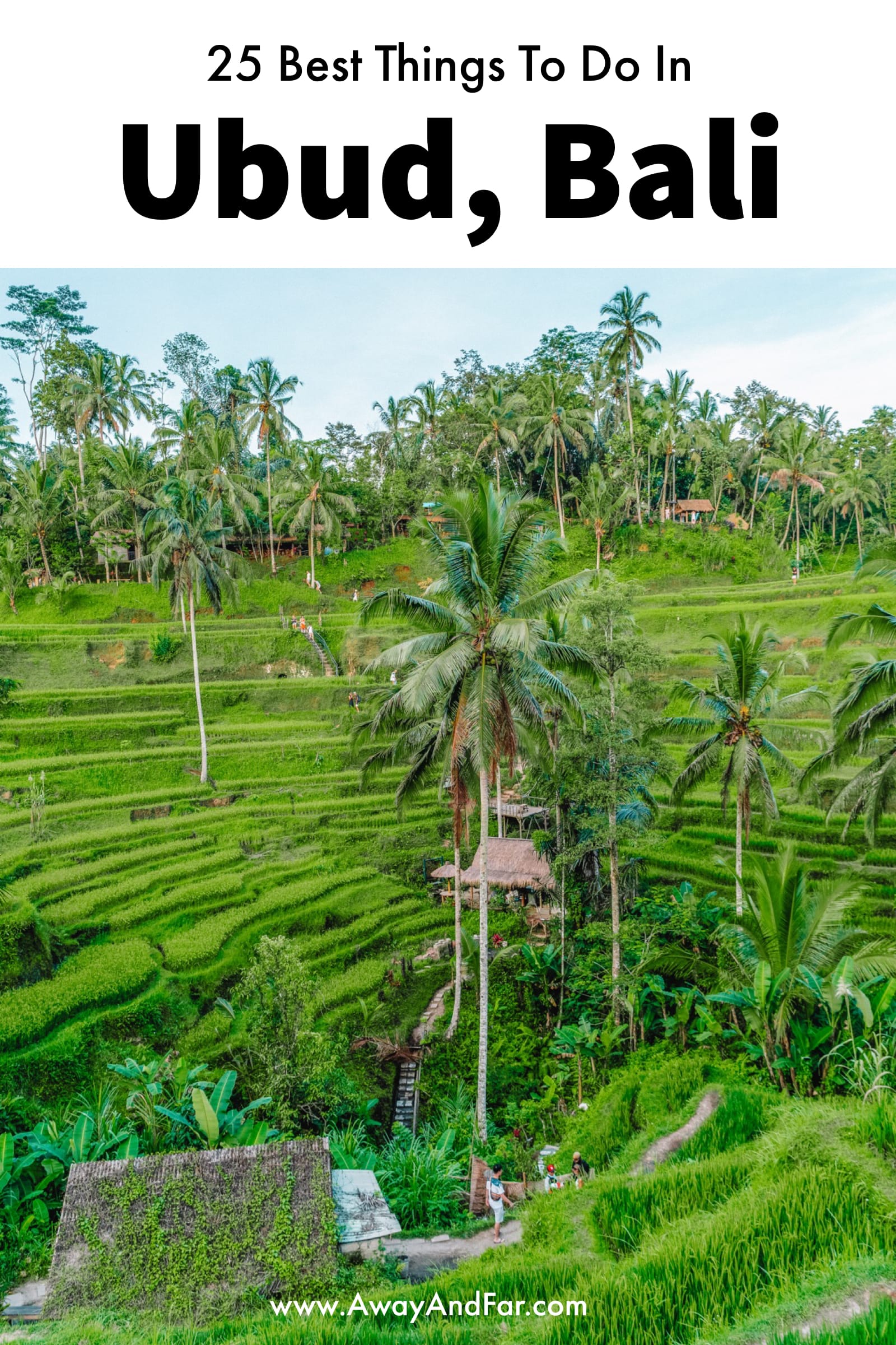 25 Best Things To Do In Ubud, Bali (1)