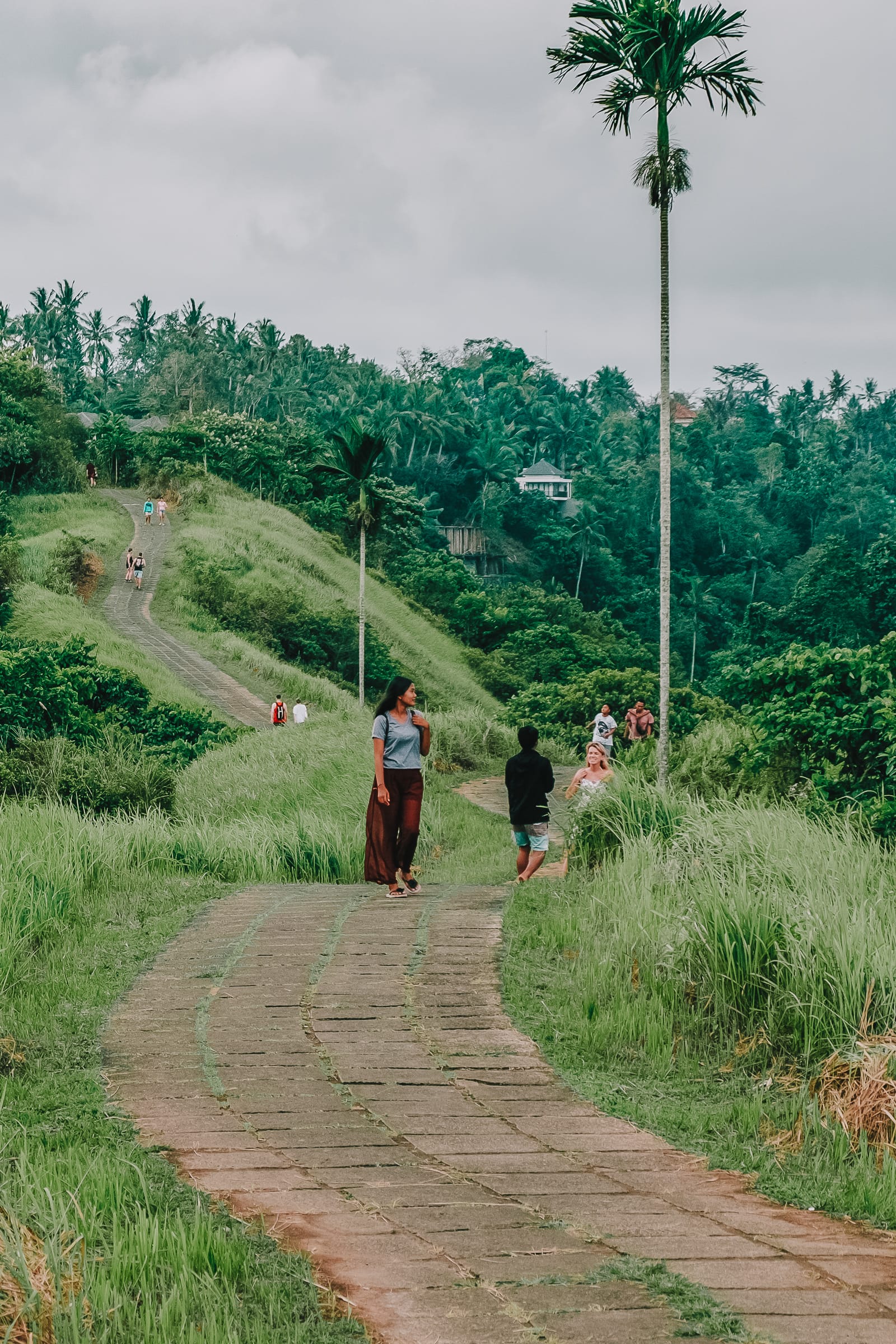 25 Best Things To Do In Ubud, Bali (12)