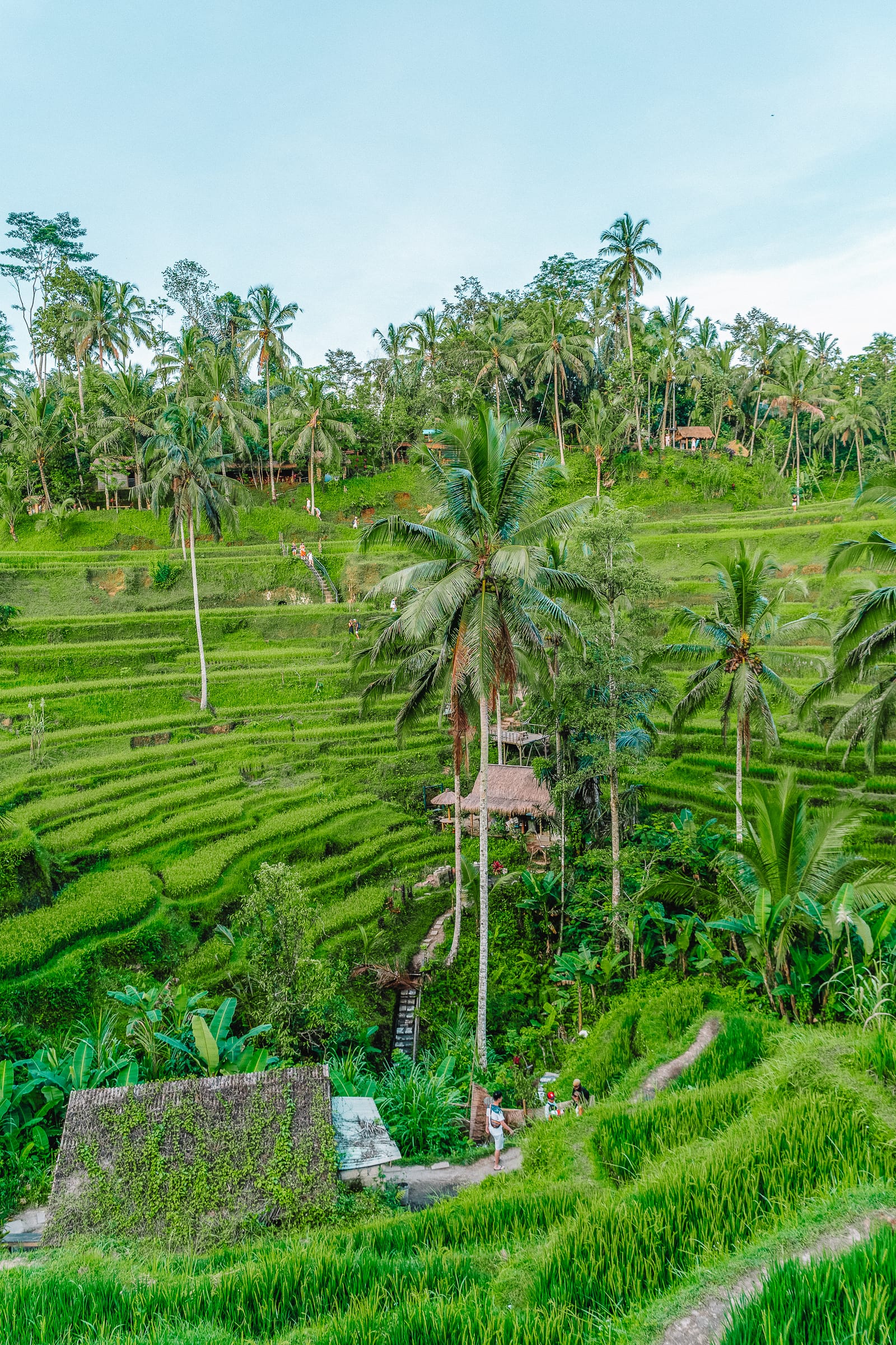 25 Best Things To Do In Ubud, Bali (21)